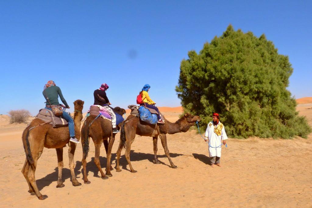 Merzouga Camp And Hostel Oda fotoğraf